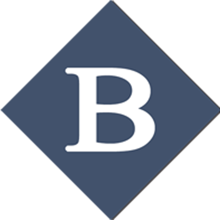 לוגו בייסיק - Baseek
